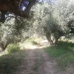 Marcello E Lucia *