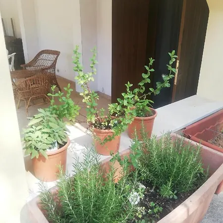 Marcello E Lucia Caprioli