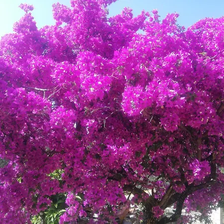 Appartement Marcello E Lucia